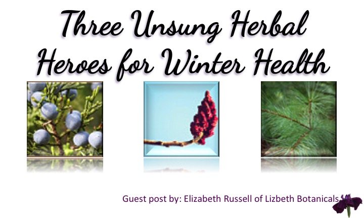 Three Unsung Herbal Heroes for Winter Health