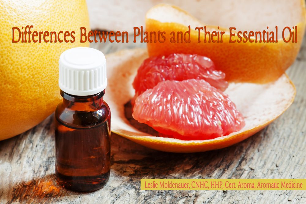 Differences Between Plants and Their Essential Oil