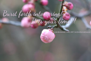 Burst forth into spring! It is your time!!!