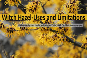 Witch Hazel (Hamamelis virginiana)-Uses and Limitations