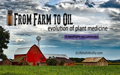 From Farm to Oil: Evolution of Plant Medicine-A Spotlight on Lavender