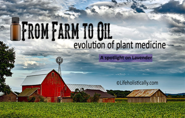 From Farm to Oil: Evolution of Plant Medicine-A Spotlight on Lavender