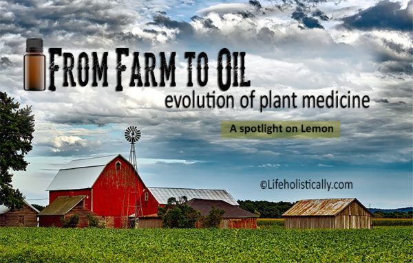 From Farm to Oil: Evolution of Plant Medicine-A Spotlight on Lemon
