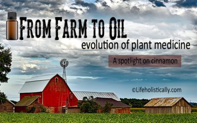 From Farm to Oil: Evolution of Plant Medicine-A Spotlight on Cinnamon