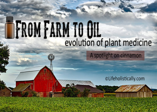 From Farm to Oil: Evolution of Plant Medicine-A Spotlight on Cinnamon