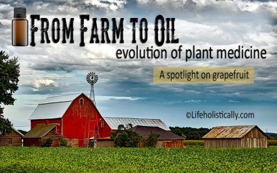 From Farm to Oil: Evolution of Plant Medicine-A Spotlight on Grapefruit