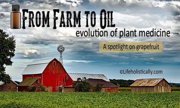 From Farm to Oil: Evolution of Plant Medicine-A Spotlight on Grapefruit