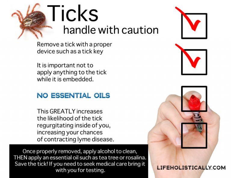 using-essential-oils-to-remove-ticks-and-tick-bites-lifeholistically